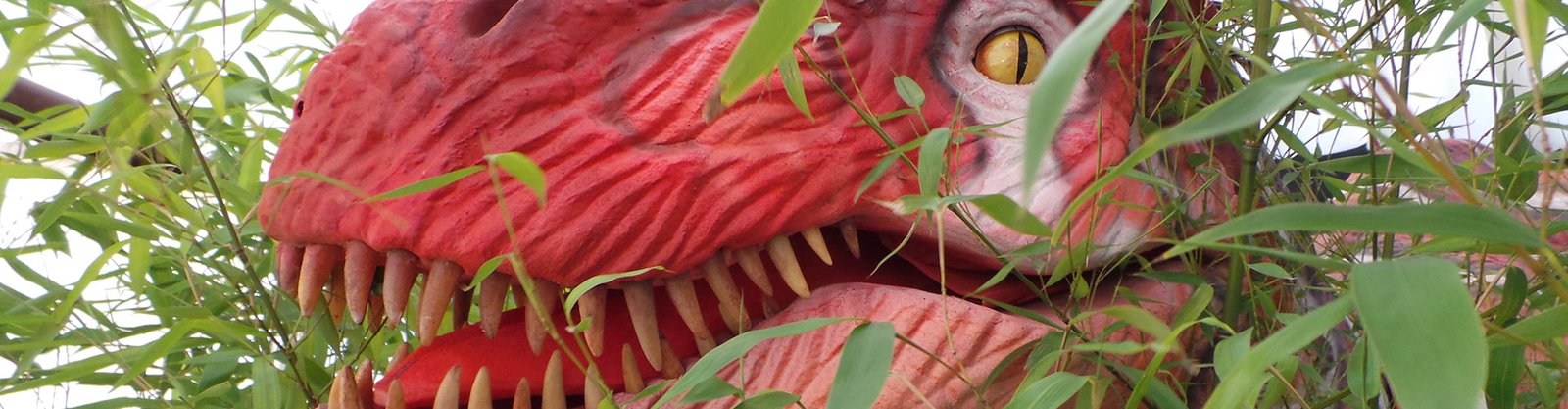 Meet Reggae Rex animatronic dinosaur for hire