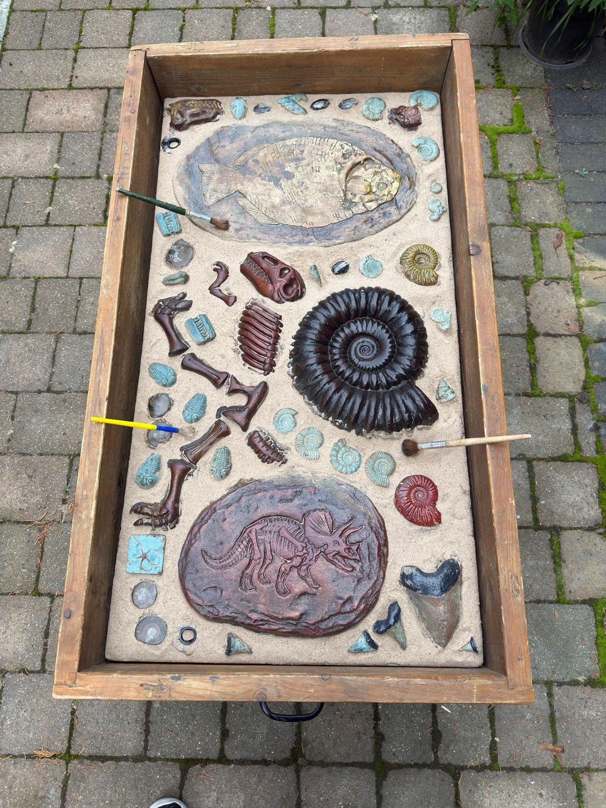 52 Fossils Sand Dig - Image 4