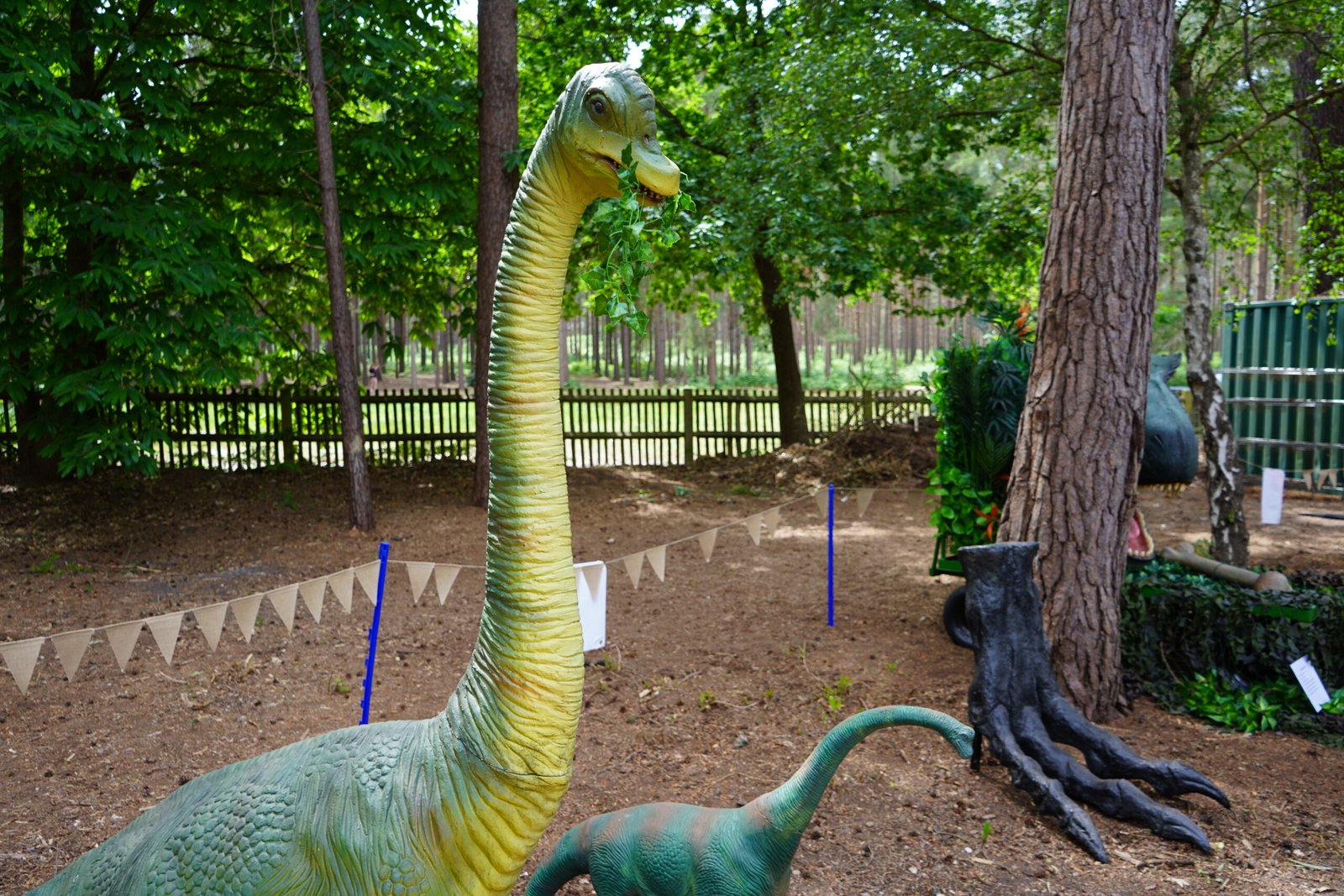Brachiosaurus
