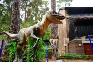 Life-Size Velociraptor