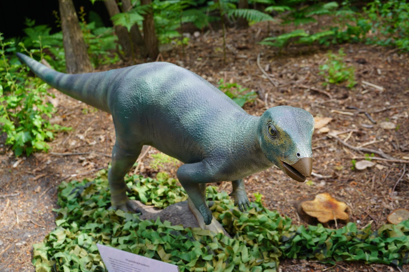 Hypsilophodon