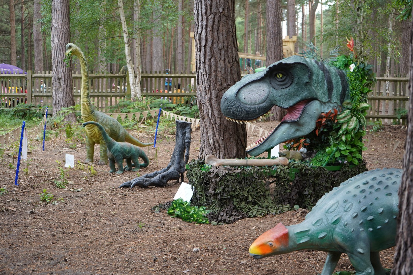 Life-size T-Rex head and museum-grade dinosaur props for hire at UK corporate events and exhibitions
